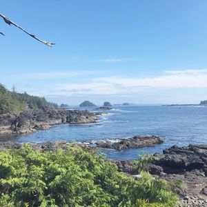 Meet your Posher, Ellen